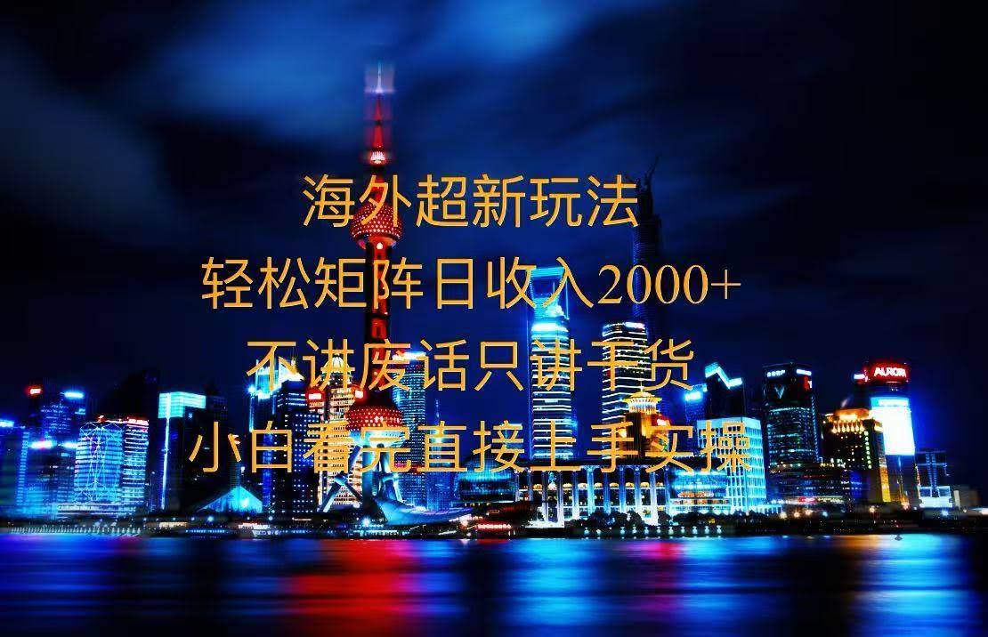 （13583期）2025全新海外暴力玩法，操作简单，小白轻松上手-轻金阁