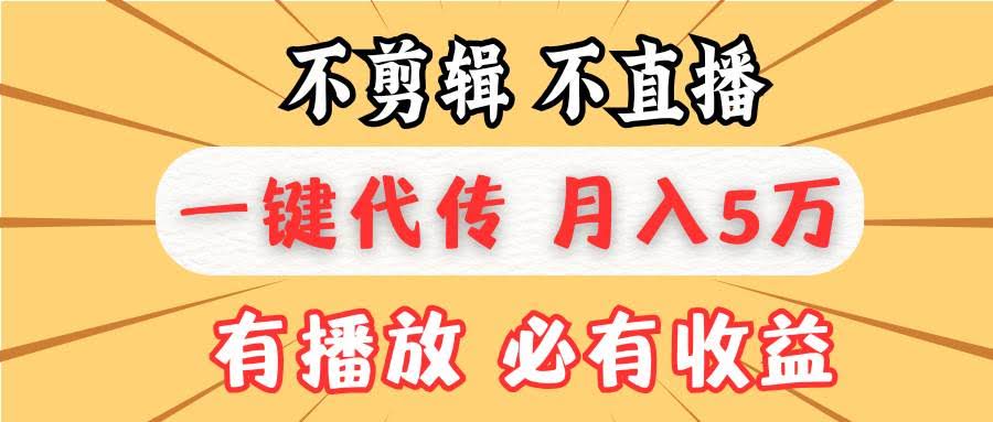 （13555期）不剪辑不直播，一键代发，月入5万懒人必备，我出视频你来发-轻金阁