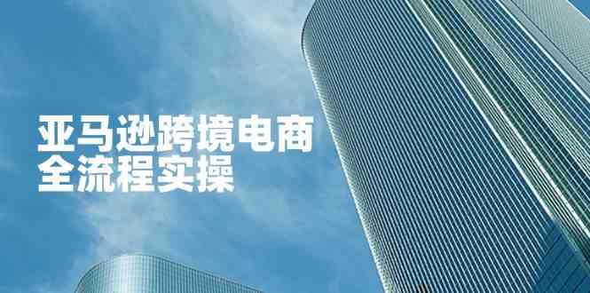 亚马逊跨境电商全流程实操，教你从零开始，掌握店铺运营与广告技巧-轻金阁