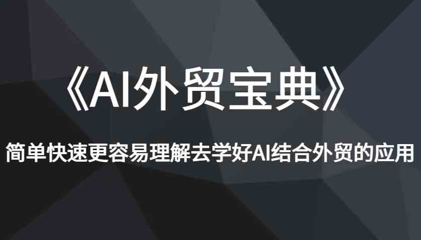 《AI外贸宝典》简单快速更容易理解去学好AI结合外贸的应用-轻金阁
