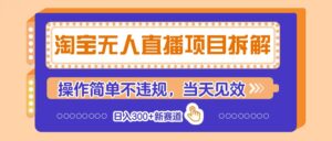 淘宝无人直播项目拆解，操作简单不违规，当天见效 日入300+新赛道-轻金阁
