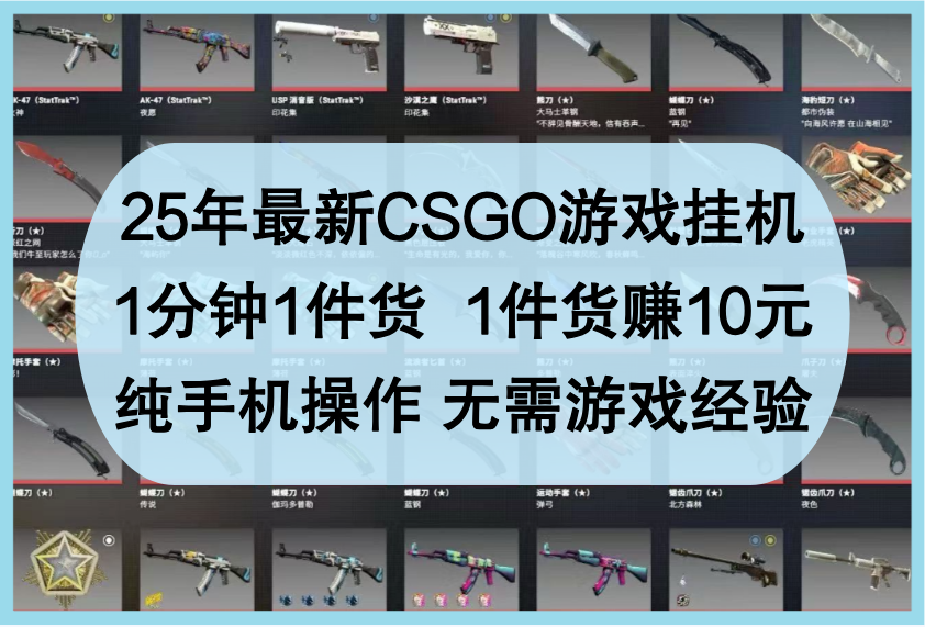25年最新CSGO游戏挂机，1分钟1件货，1件货赚10元，纯手机操作，无需游戏经验-轻金阁