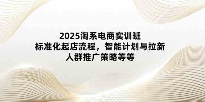 2025淘系电商实训班：标准化起店流程，智能计划与拉新，人群推广策略等等-轻金阁