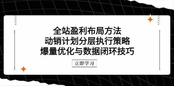 全站盈利布局方法：动销计划分层执行策略，爆量优化与数据闭环技巧-轻金阁