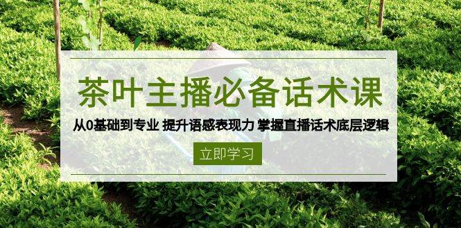 茶叶主播必备话术课 从0基础到专业 提升语感表现力 掌握直播话术底层逻辑-轻金阁