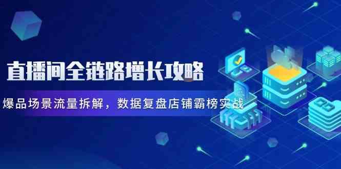 直播间全链路增长攻略，爆品场景流量拆解，数据复盘店铺霸榜实战-轻金阁