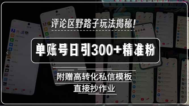 （15466期）评论区野路子玩法揭秘！单账号日引300+精准粉，附赠高转化私信模板，直…-轻金阁