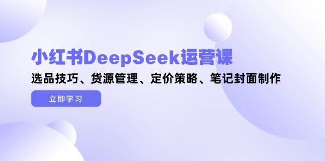小红书DeepSeek运营课，选品技巧、货源管理、定价策略、笔记封面制作-轻金阁