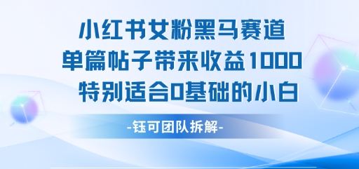 小红书女粉黑马赛道单篇帖子带来收益1k+，特别适合0基础的小白-轻金阁