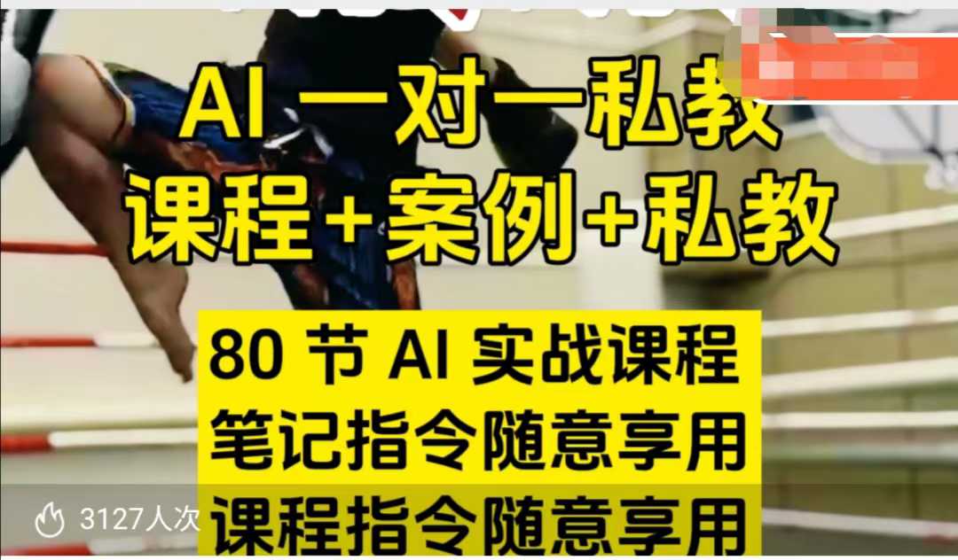 AI指令实战课，课程+案例，80节AI实战课程，笔记指令随意享用，课程指令随意享用（更新7月）-轻金阁