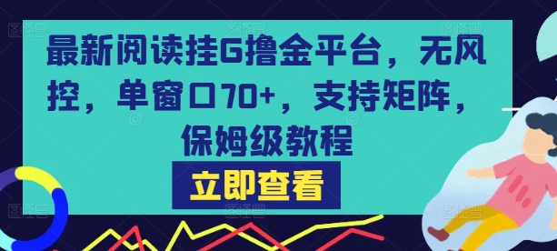 最新阅读挂G撸金平台，无风控，单窗口70+，支持矩阵，保姆级教程【揭秘】-轻金阁