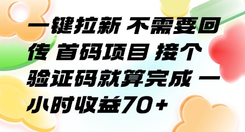 一键拉新 不需要回传 首码项目 接个验证码就算完成 一小时收益70+【揭秘】-轻金阁