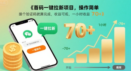 首码一键拉新项目，操作简单，接个验证码就算完成，收益可观， 一小时收益70+【揭秘】-轻金阁