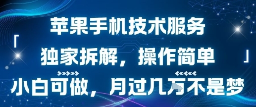 苹果手机技术服务，独家拆解，操作简单，小白可做，月过1W不是梦-轻金阁