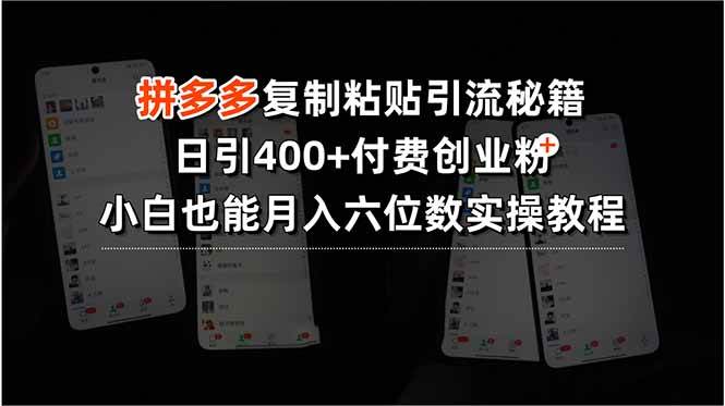 （15613期）拼多多复制粘贴引流秘籍，日引400+付费创业粉，小白也能月入六位数实操…-轻金阁