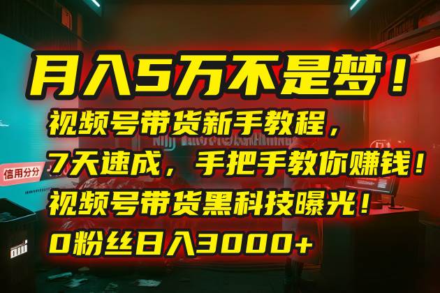 （15595期）月入5万不是梦！视频号带货新手教程，7天速成，手把手教你赚钱！视频号…-轻金阁