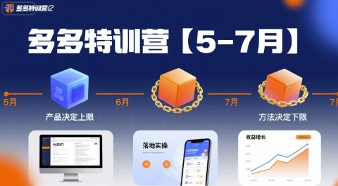 多多特训营【5-7月】产品决定上限，方法决定下限，各种玩法技巧落地实操-轻金阁