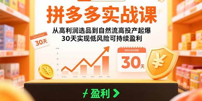 （15586期）拼多多实战课：从高利润选品到自然流高投产起爆 30天实现低风险可持续盈利-轻金阁