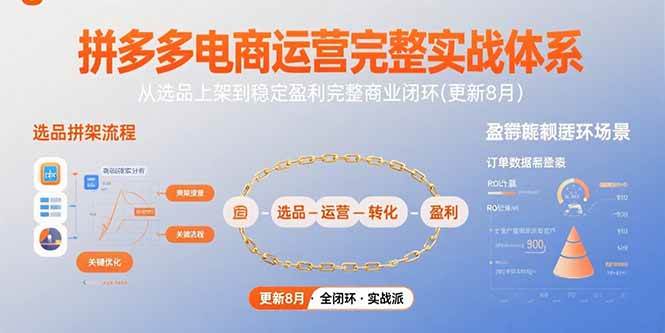（15579期）拼多多电商运营完整实战体系，从选品上架到稳定盈利完整商业闭环(更新8月)-轻金阁