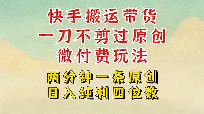 （15577期）快手黑科技搬运带货，一刀不剪过原创，微付费投流玩法，轻松日入四位数…-轻金阁