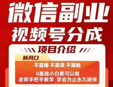 微信副业视频号分成，不直播 不卖货 不露脸，三五分钟即可完成一条作，每日收益几十、几张不等-轻金阁