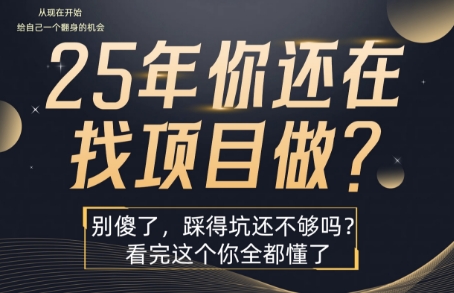 25年，你还在疯狂的找项目吗？别傻了，看完这个你都懂了【揭秘】-轻金阁