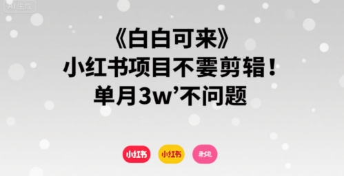 小白可来 小红书项目不需要剪辑 单月3w不是问题-轻金阁