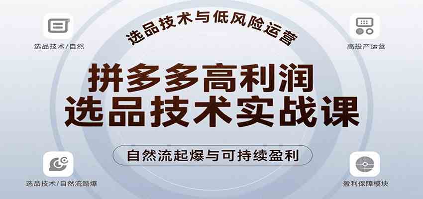 拼多多高利润选品技术实战课，手把手教学自然流高投产起爆，实现低风险可持续盈利-轻金阁