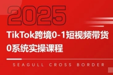 TikTok跨境0-1短视频带货，系统拆解TikTok跨境带货全链路，实现跨境可持续盈利-轻金阁