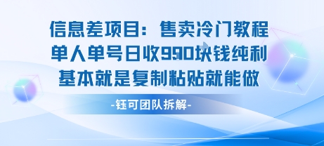 信息差项目：售卖冷门教程单人单号日收9张纯利基本就是复制粘贴就能做-轻金阁