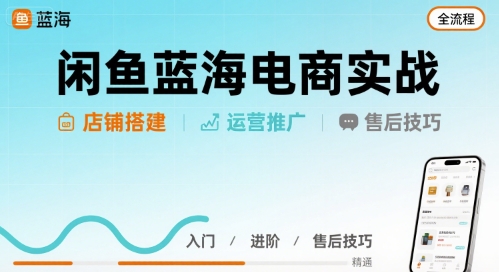 闲鱼蓝海电商实战，店铺搭建运营售后全流程-轻金阁