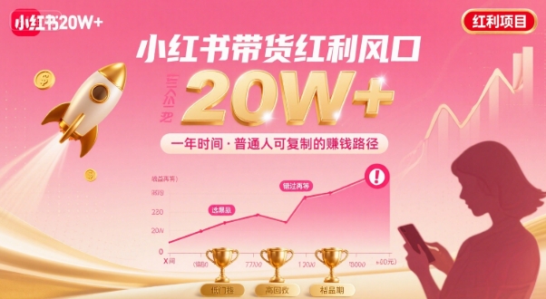 一年时间靠小红书带货项目年入20w+，最不能错的大红利项目-轻金阁
