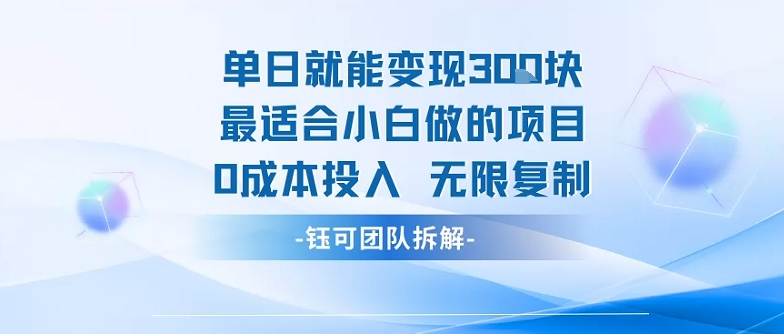 单日就能变现3张最适合小白做的项目0成本投入 无限复制-轻金阁