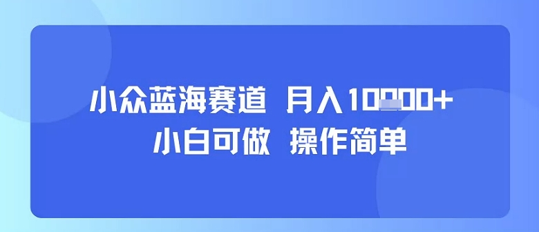 小众蓝海赛道，小白可做，操作简单，每天30分钟，月入1W+-轻金阁