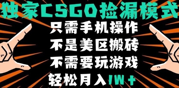 CSGO自动捡漏项目，最新独家玩法，不是美区搬砖，不需要了解和玩游戏，新手小白轻松月入1W+【揭秘】-轻金阁