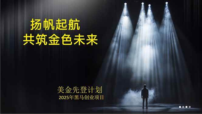 （15748期）美金对冲创业项目，日收益1000-3000，小众暴力项目稳定运行8年-轻金阁