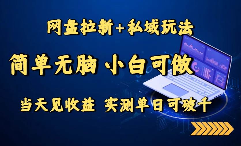 （15744期）网盘拉新+私域玩法，简单无脑，小白可做，当天见收益，实测单日可破千-轻金阁