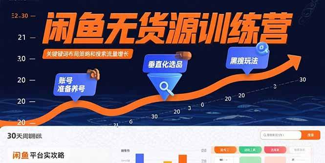 （15698期）闲鱼无货源训练营：账号准备养号/垂直化选品/黑搜玩法，0基础30天盈利指南-轻金阁
