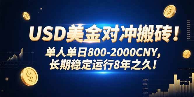 （15551期）USD美金对冲搬砖!单人单日800-2000CNY，长期稳定运行8年之久!-轻金阁