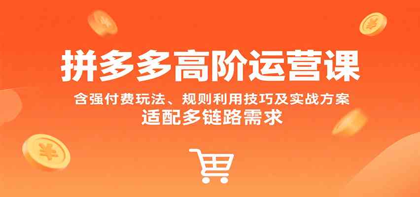 拼多多高阶运营课，含强付费玩法、规则利用技巧及实战方案，适配多链路需求-轻金阁