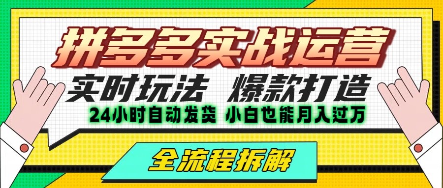 拼多多最新实战运营高投产：长久稳定项目，单店利润一天三位数-轻金阁