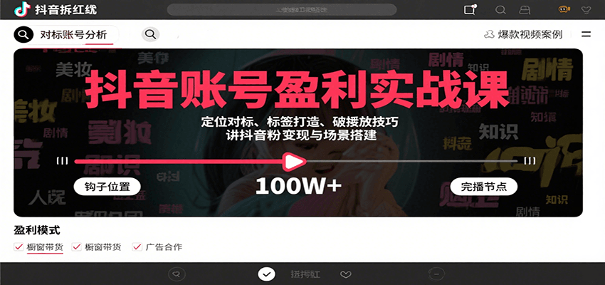抖音账号盈利实战课，定位对标、标签打造、破播放技巧，讲涨粉变现与场景搭建-轻金阁