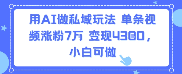 用AI做私域玩法，单条视频涨粉7W变现4.3k，小白可做-轻金阁