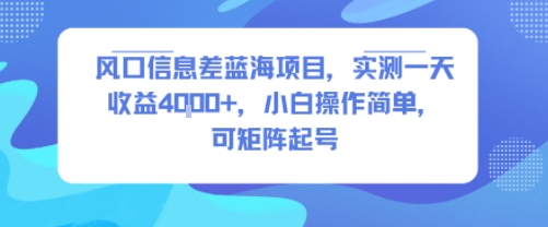 风口信息差蓝海项目，实测一天收益4k+，小白操作简单，可矩阵起号-轻金阁