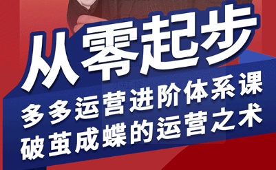 拼多多运营进阶系统课，从零起步，多多运营进阶体系课，破茧成蝶的运营之术-轻金阁