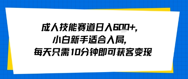 成人技能赛道日入多张，小白新手适合入局，每天只需10分钟即可获客变现-轻金阁