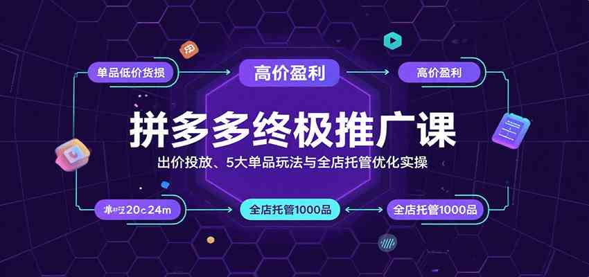 拼多多终极推广课：出价投放、5大单品玩法与全店托管优化实操-轻金阁