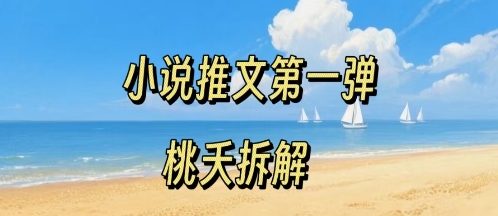 小说推文项目操作全流程第一弹，0粉就能做，门槛低非常适合新手-轻金阁