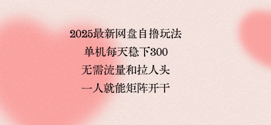 2025最新网盘自撸玩法，单机每天稳下3张，无需流量和拉人头，一个人就可轻松矩阵，全网独一份【揭秘】-轻金阁
