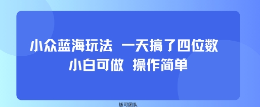 小众蓝海玩法 一天搞了四位数 小白可做 操作简单-轻金阁
